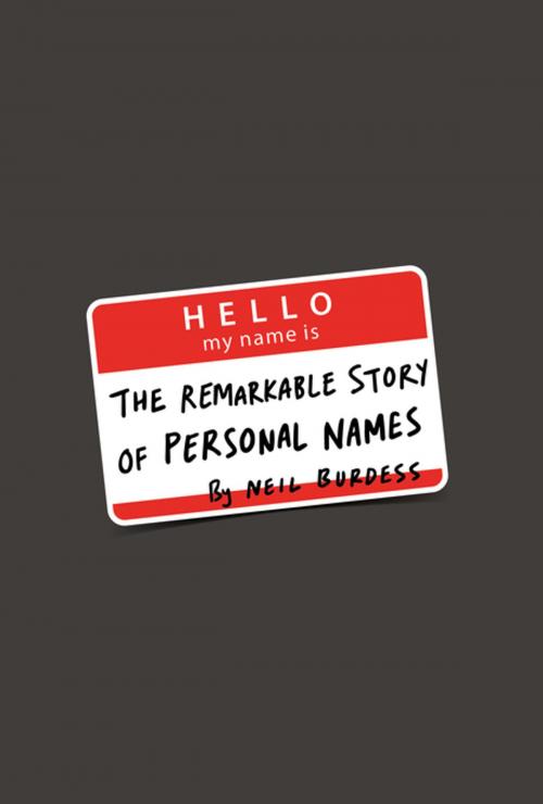 Cover of the book Hello, My Name Is… by Neil Burdess, Sandstone Press Ltd