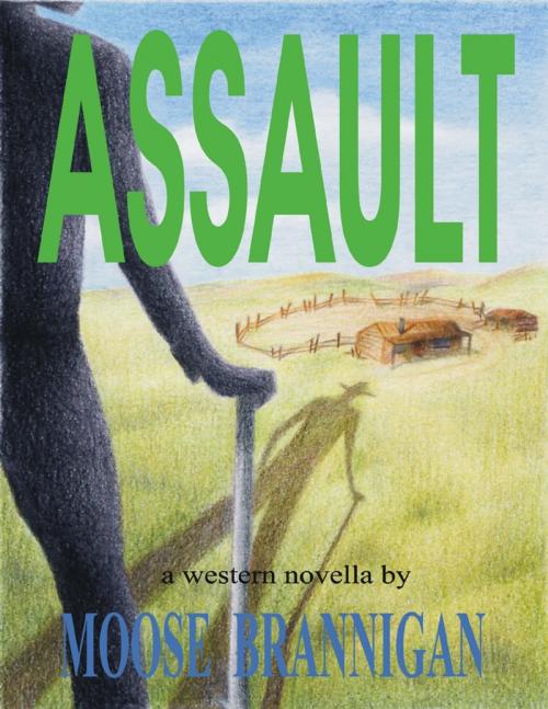Cover of the book Assault by Moose Brannigan, Moose Hide Books imprint of Moose Enterprise Publishing