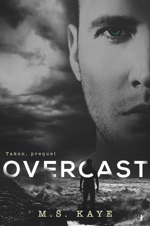 Cover of the book Overcast by MS Kaye, Inkspell Publishing LLC