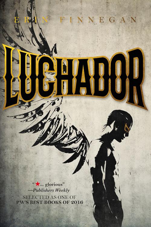 Cover of the book Luchador by Erin Finnegan, Interlude Press