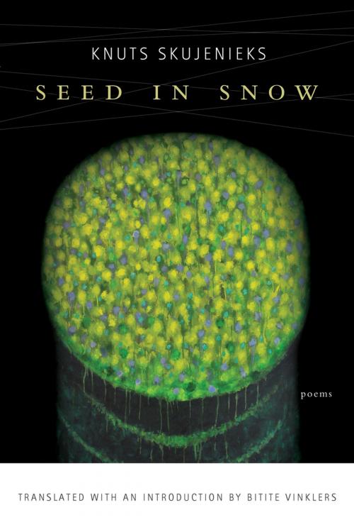 Cover of the book Seed in Snow by Knuts Skujenieks, BOA Editions Ltd.