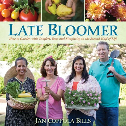Cover of the book Late Bloomer by Jan Coppola Bills, St. Lynn's Press
