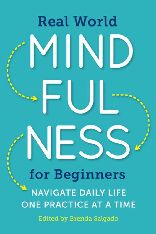 Cover of the book Real World Mindfulness for Beginners by Brenda Salgado, Arcas Publishing