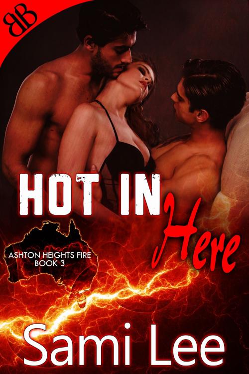 Cover of the book Hot In Here by Sami Lee, Book Boutiques