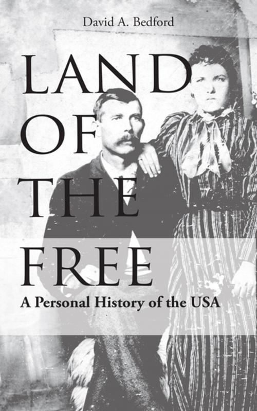 Cover of the book Land of the Free by David A. Bedford, Progressive Rising Phoenix Press, LLC