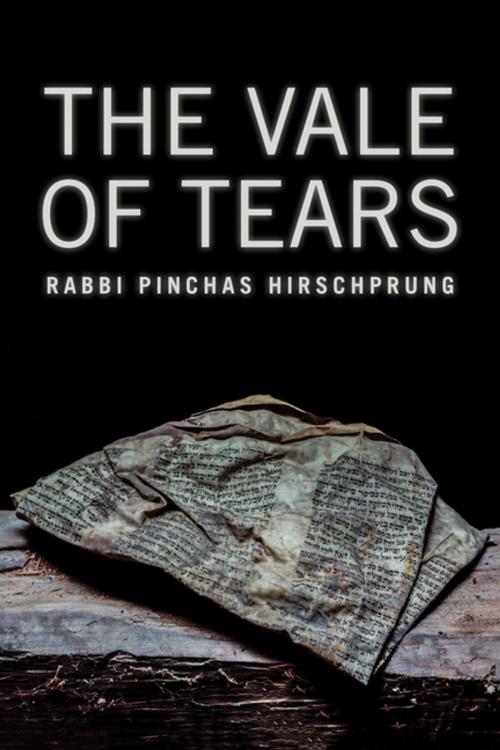 Cover of the book The Vale of Tears by Rabbi Pinchas Hirschprung, The Azrieli Foundation