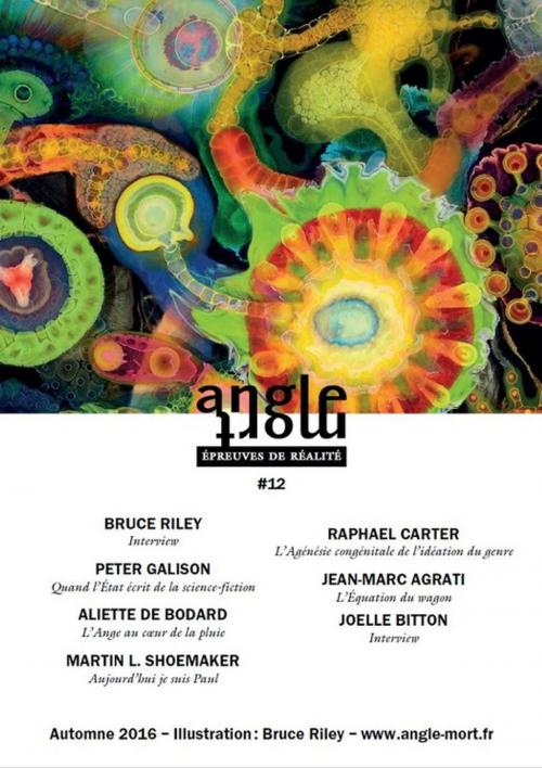 Cover of the book Angle Mort numéro 12 by Joëlle Bitton, Raphael Carter, Jean-Marc Agrati, Peter Galison, Aliette de Bodard, Martin L. Shoemaker, Angle Mort