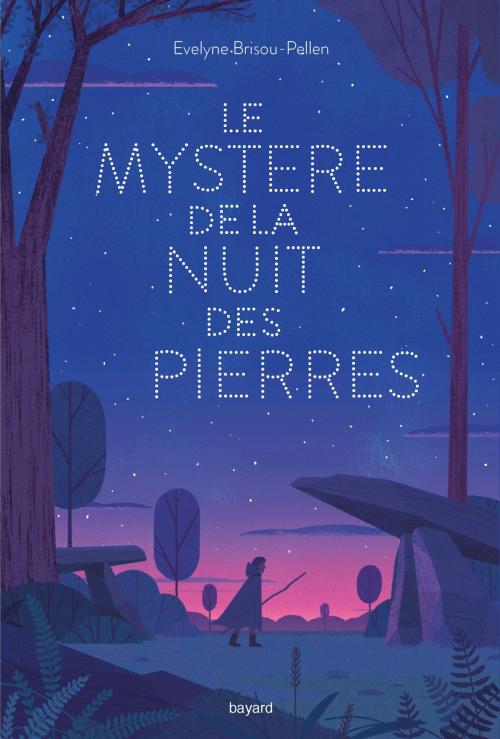 Cover of the book Le mystère de la nuit des pierres by Évelyne Brisou-Pellen, Bayard Jeunesse