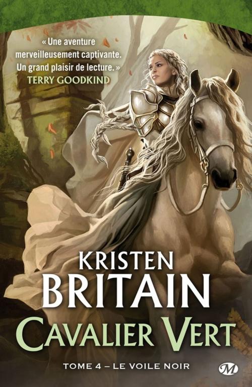 Cover of the book Le Voile Noir by Kristen Britain, Bragelonne