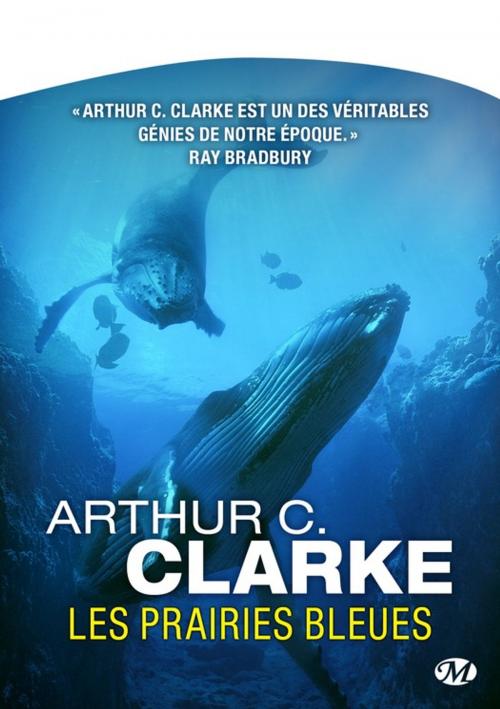 Cover of the book Les Prairies bleues by Arthur C. Clarke, Bragelonne
