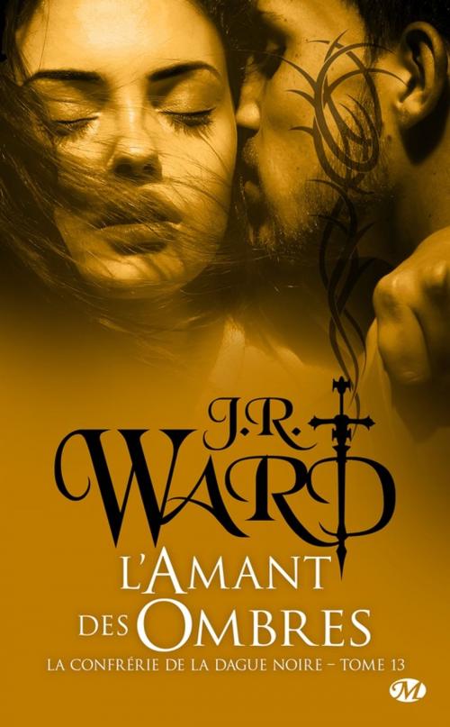 Cover of the book L'Amant des ombres by J.R. Ward, Milady