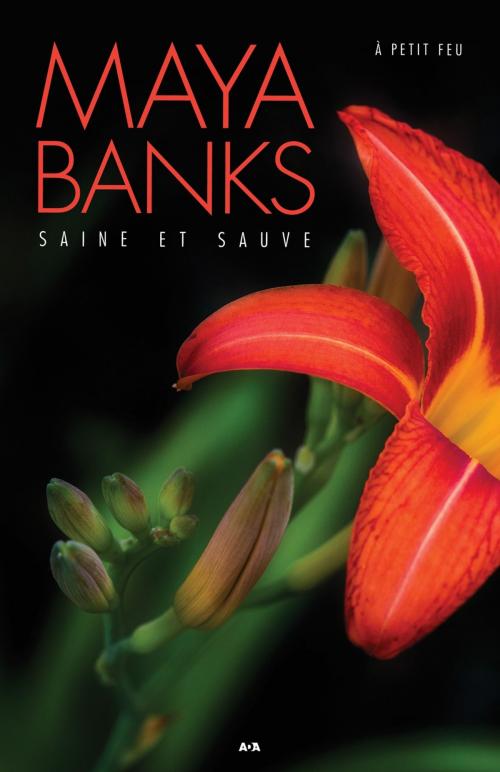 Cover of the book Saine et sauve by Maya Banks, Éditions AdA