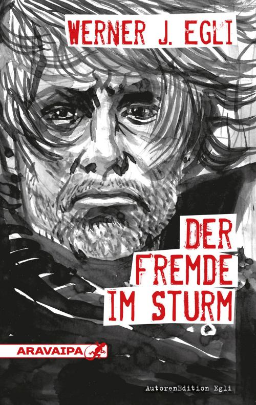 Cover of the book Der Fremde im Sturm by Werner J. Egli, ARAVAIPA