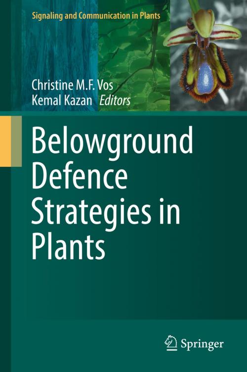 Cover of the book Belowground Defence Strategies in Plants by , Springer International Publishing