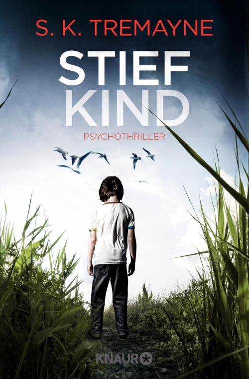 Cover of the book Stiefkind by S. K. Tremayne, Knaur eBook