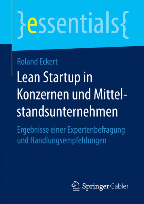 Cover of the book Lean Startup in Konzernen und Mittelstandsunternehmen by Roland Eckert, Springer Fachmedien Wiesbaden