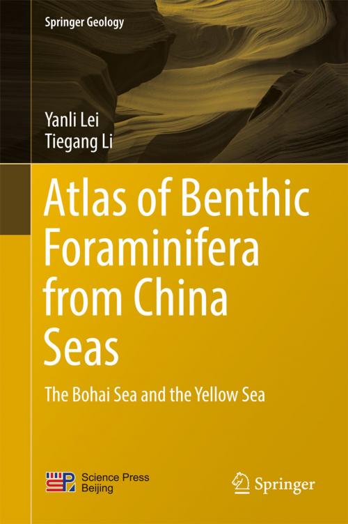 Cover of the book Atlas of Benthic Foraminifera from China Seas by Yanli Lei, Tiegang Li, Springer Berlin Heidelberg