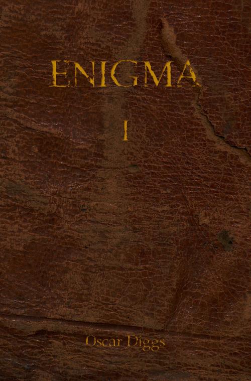 Cover of the book ENIGMA by Oscar Diggs, neobooks