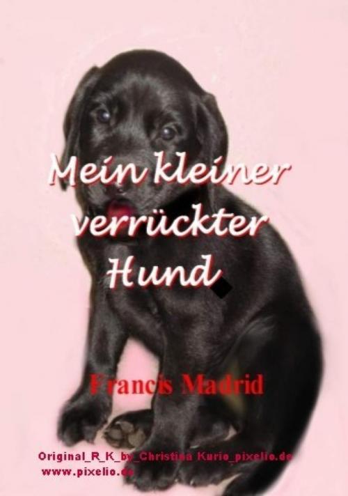 Cover of the book Mein kleiner verrückter Hund by Francis Madrid, BookRix