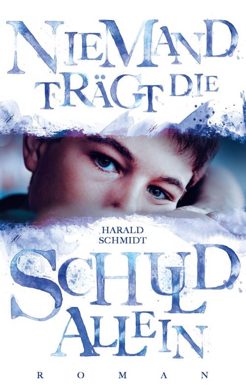Cover of the book Niemand trägt die Schuld allein by Harald Schmidt, Books on Demand