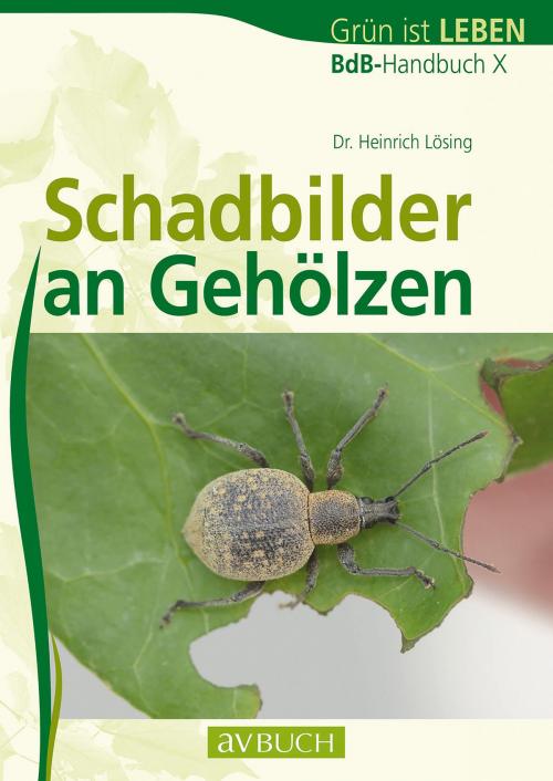 Cover of the book Schadbilder an Gehölzen by Dr. Heinrich Lösing, avBuch