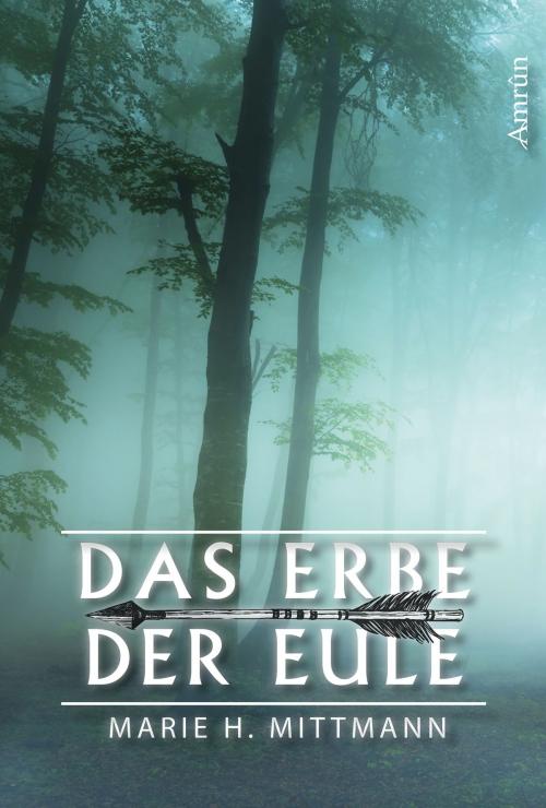 Cover of the book Das Erbe der Eule by Marie H. Mittmann, Amrûn Verlag