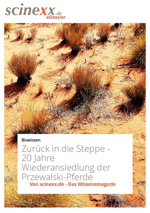 Cover of the book Zurück in die Steppe by Nadja Podbregar, YOUPublish