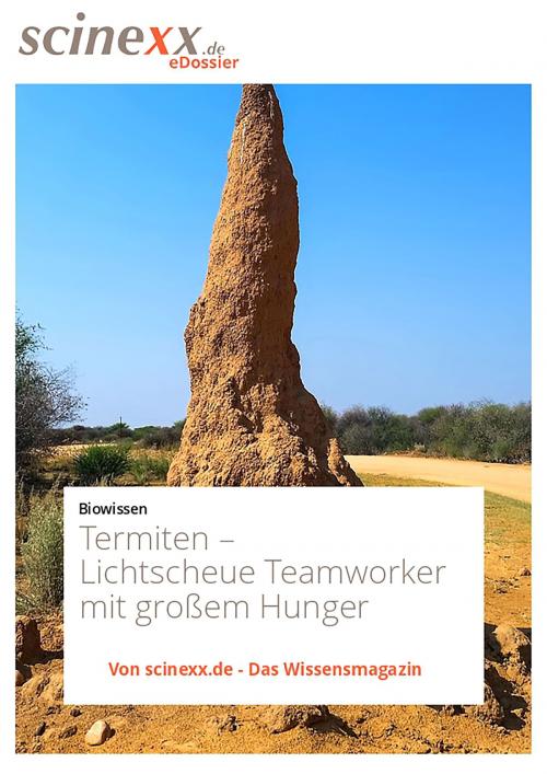 Cover of the book Termiten by Dieter Lohmann, YOUPublish