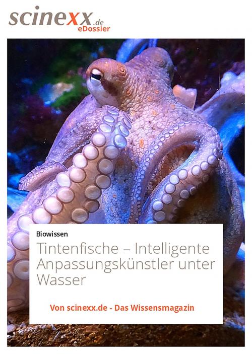 Cover of the book Tintenfische by Dieter Lohmann, YOUPublish