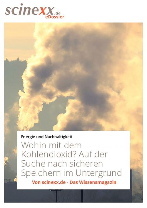 Cover of the book Wohin mit dem Kohlendioxid? by Daniela Albat, YOUPublish