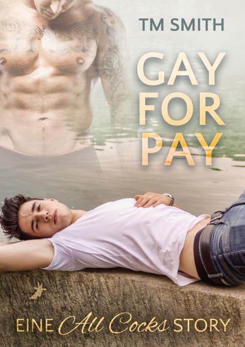 Cover of the book Gay for Pay by TM Smith, dead soft verlag