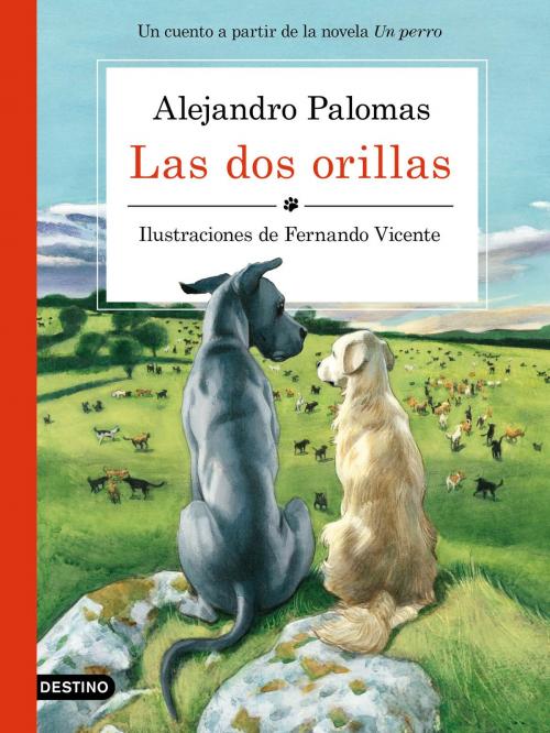 Cover of the book Las dos orillas by Alejandro Palomas, Fernando Vicente Sánchez, Grupo Planeta