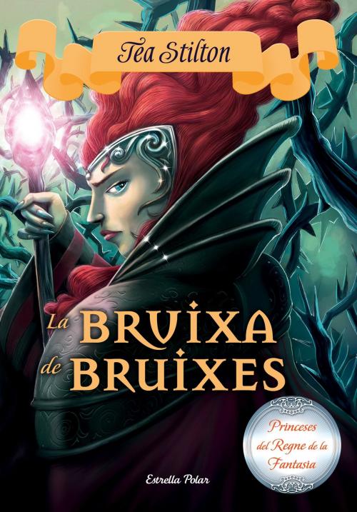 Cover of the book La bruixa de bruixes by Tea Stilton, Grup 62