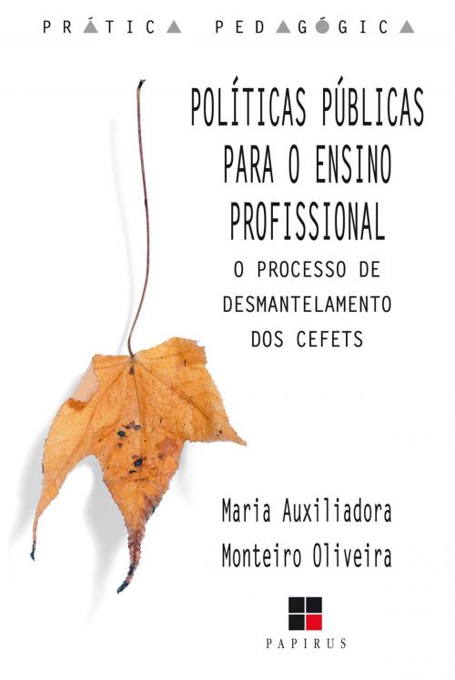 Cover of the book Políticas públicas para o ensino profissional by Maria Auxiliadora Monteiro Oliveira, Papirus Editora
