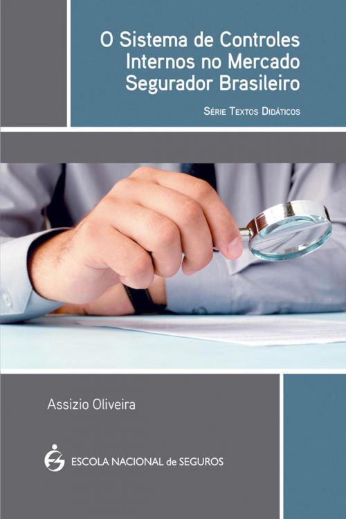 Cover of the book O sistema de controles internos no mercado segurador brasileiro - série textos didáticos by Assizio Oliveira, Escola Nacional de Seguros