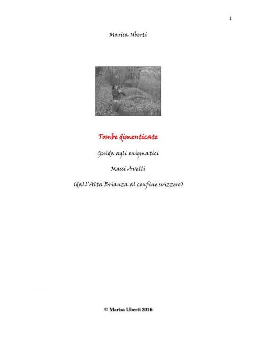 Cover of the book TOMBE DIMENTICATE. Guida agli enigmatici Massi Avelli (dall'Alta Brianza al confine svizzero) by Marisa Uberti, Marisa Uberti