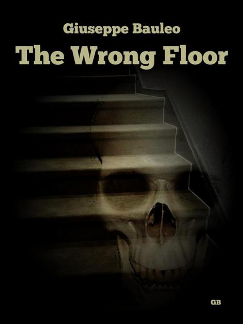 Cover of the book The wrong floor by Giuseppe Bauleo, Giuseppe Bauleo, Hide Publishing