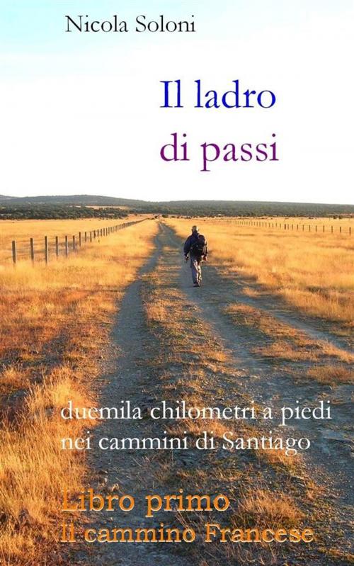 Cover of the book Il ladro di passi. Libro primo. Il cammino Francese by Nicola Soloni, Nicola Soloni