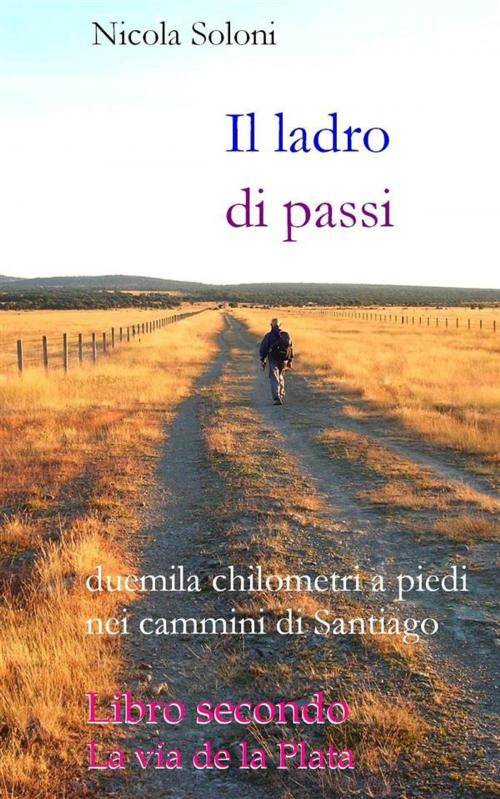 Cover of the book Il ladro di passi. Libro secondo. La via de la Plata by Nicola Soloni, Nicola Soloni