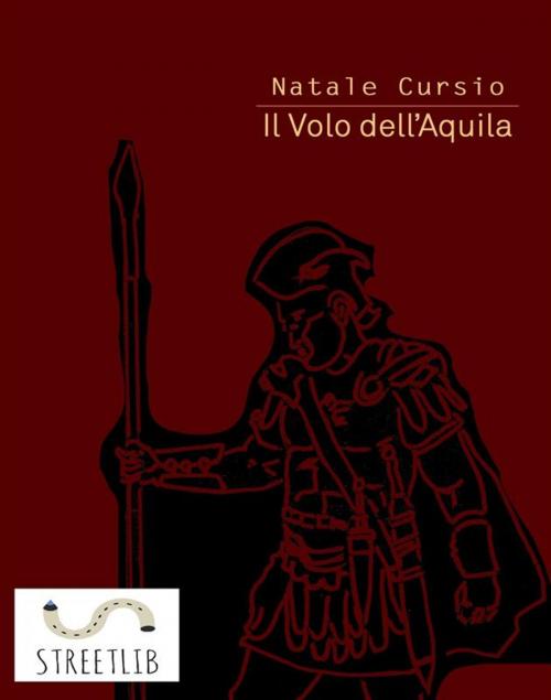 Cover of the book Il volo dell'aquila by Natale Cursio, Natale Cursio