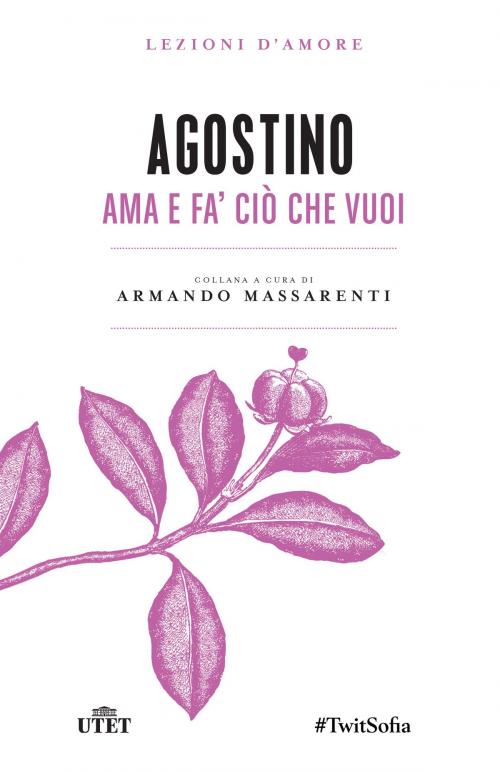 Cover of the book Ama e fa' ciò che vuoi by Agostino, UTET