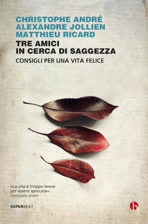 Cover of the book Tre amici in cerca di saggezza by Christophe André, Alexandre Jollien, Matthieu Ricard, Beat