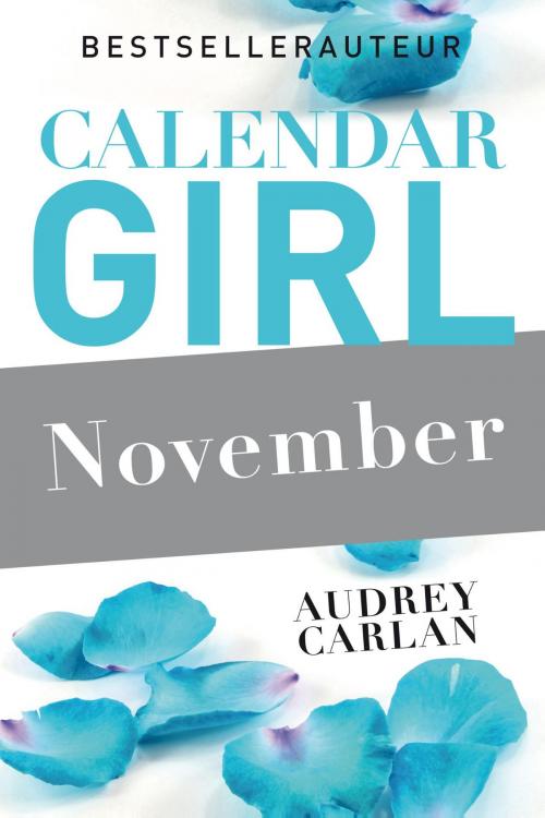Cover of the book November by Audrey Carlan, Meulenhoff Boekerij B.V.