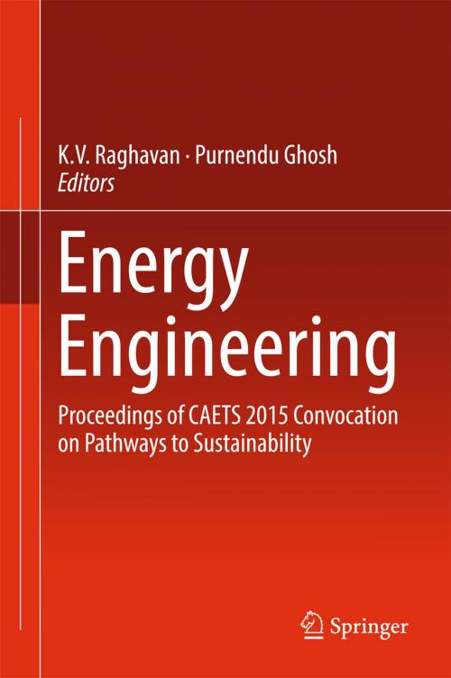 Cover of the book Energy Engineering by , Springer Singapore