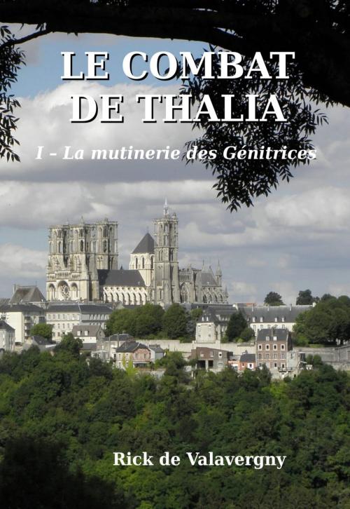 Cover of the book La mutinerie des Génitrices by Rick de Valavergny, Eric Vidoni