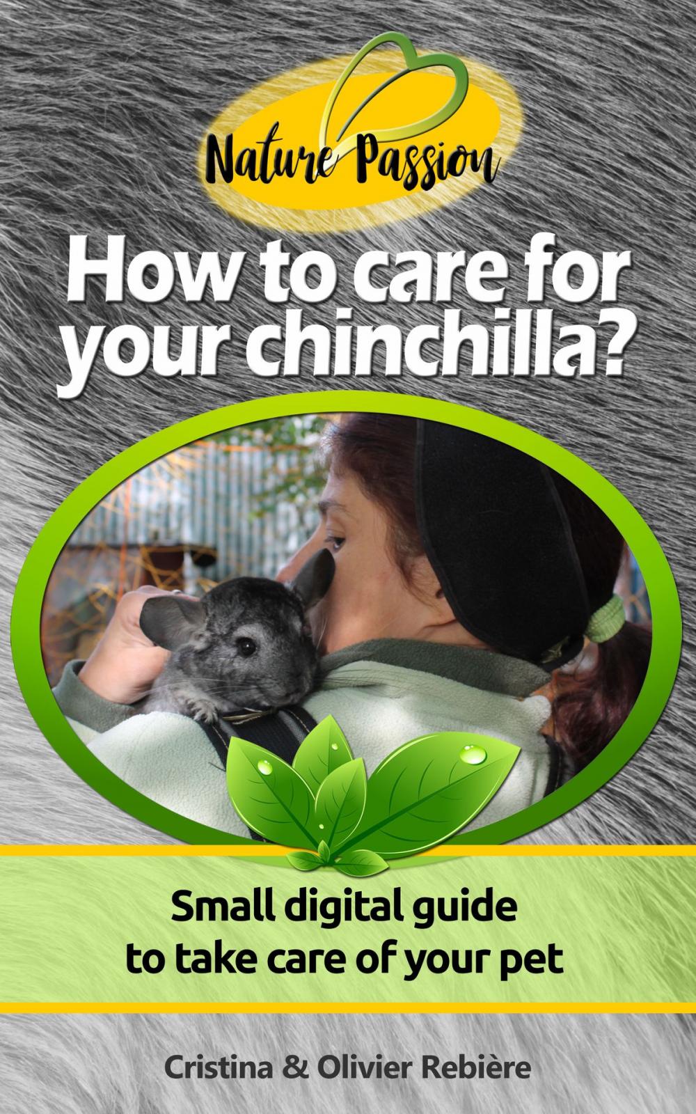 Big bigCover of How to care for your chinchilla?