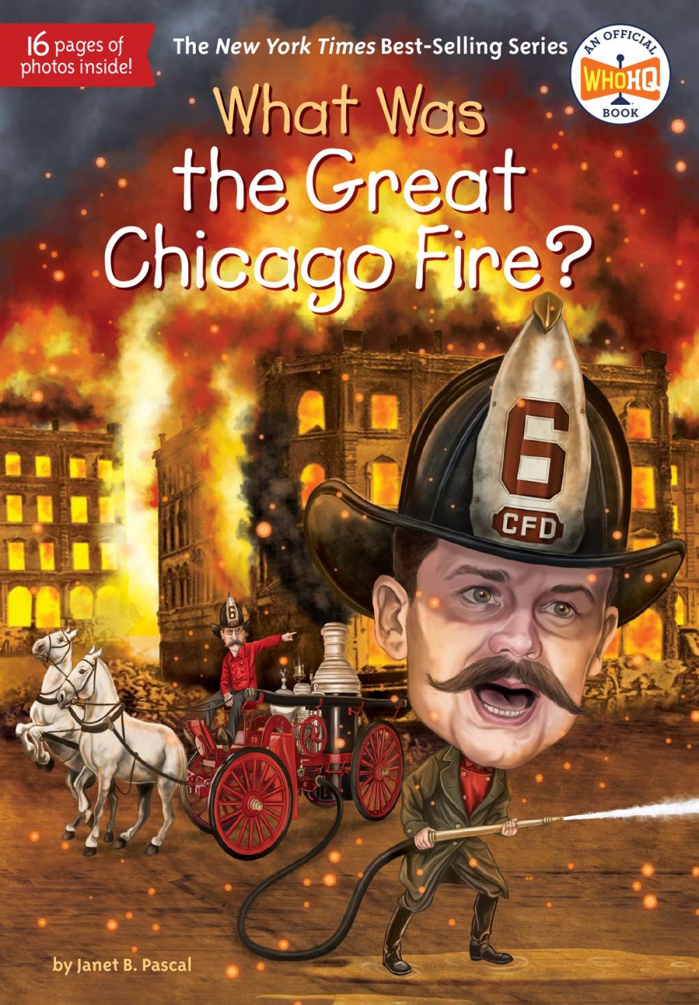 Big bigCover of What Was the Great Chicago Fire?