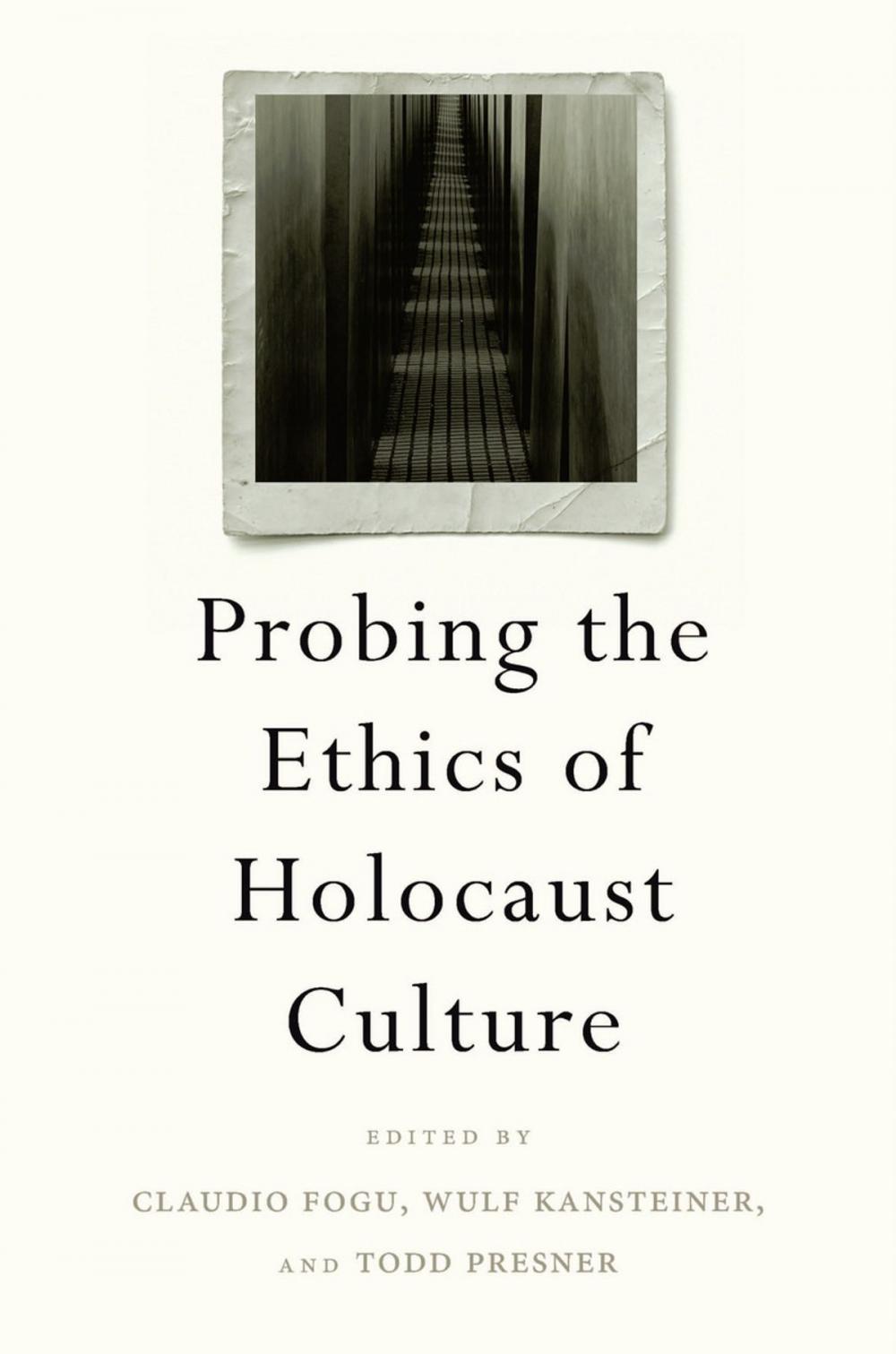 Big bigCover of Probing the Ethics of Holocaust Culture