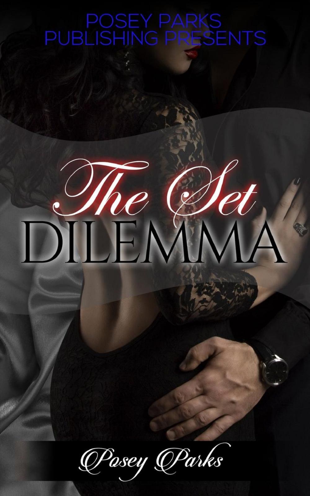 Big bigCover of The Set Dilemma