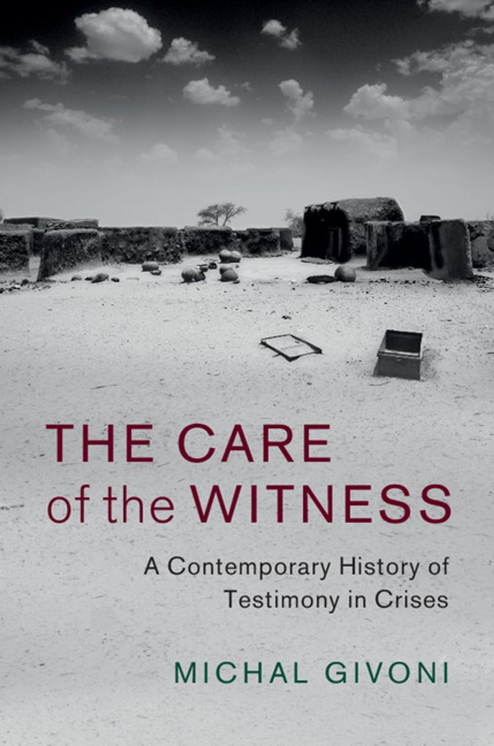 Big bigCover of The Care of the Witness